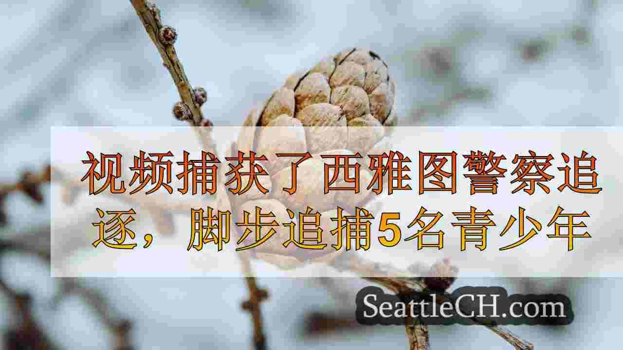 西雅图新闻 SeattleCH