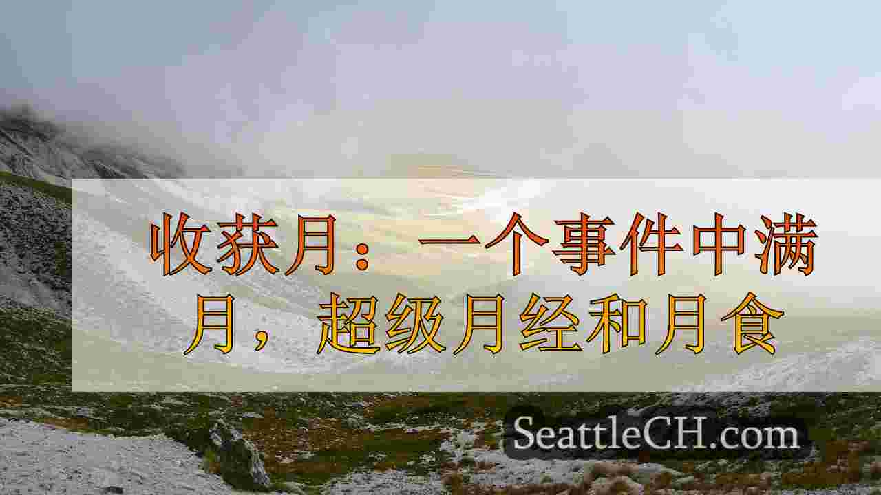 西雅图新闻 SeattleCH