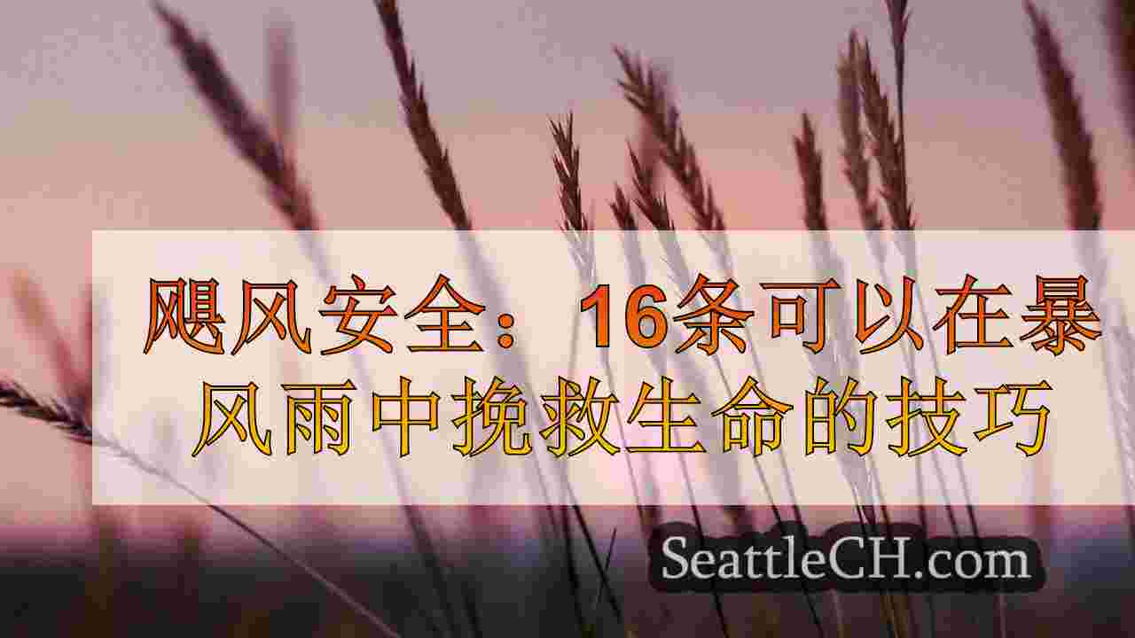 西雅图新闻 SeattleCH
