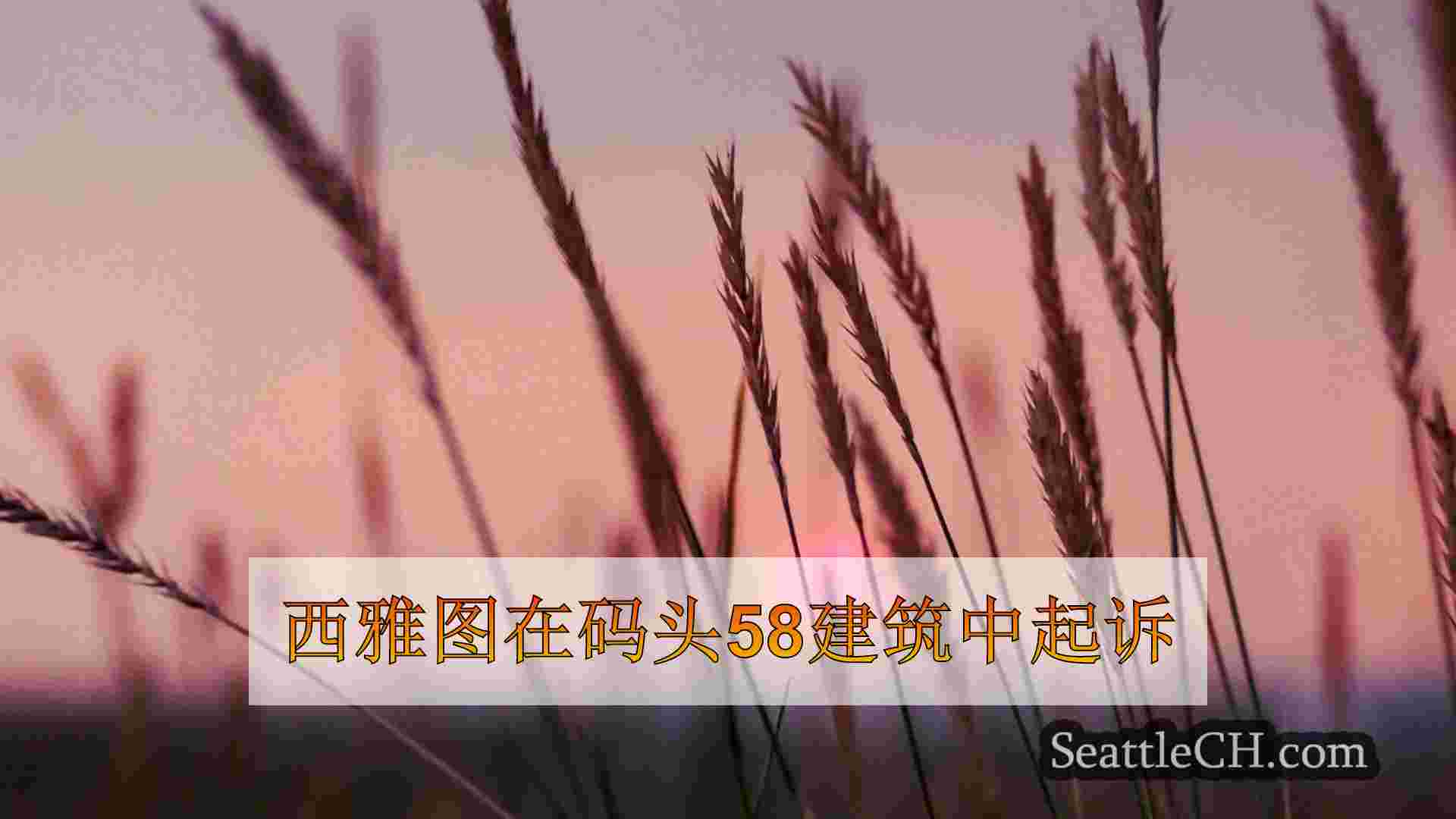 西雅图新闻 SeattleCH