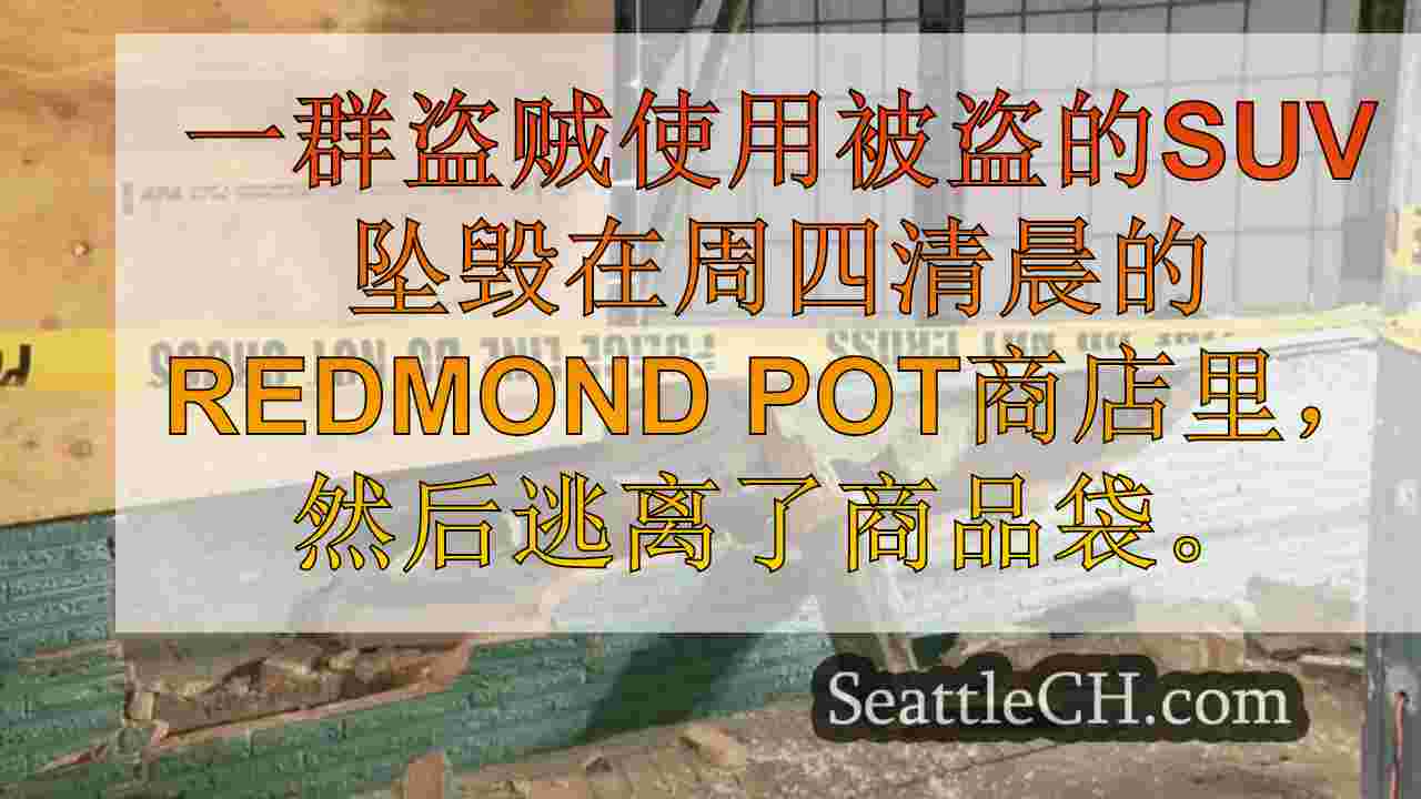 西雅图新闻 SeattleCH