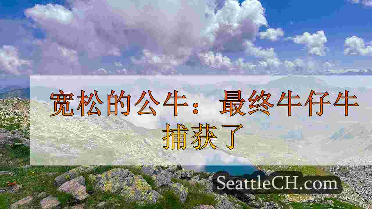 西雅图新闻 SeattleCH