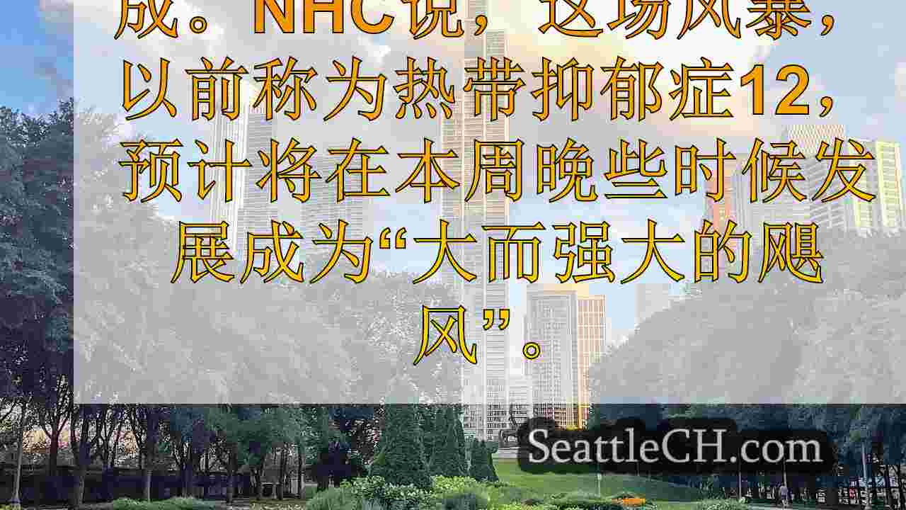 西雅图新闻 SeattleCH