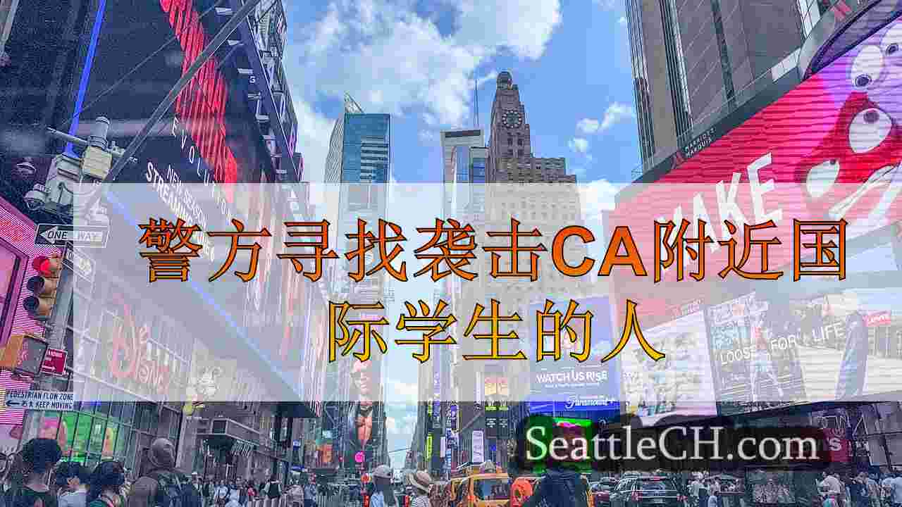 西雅图新闻 SeattleCH