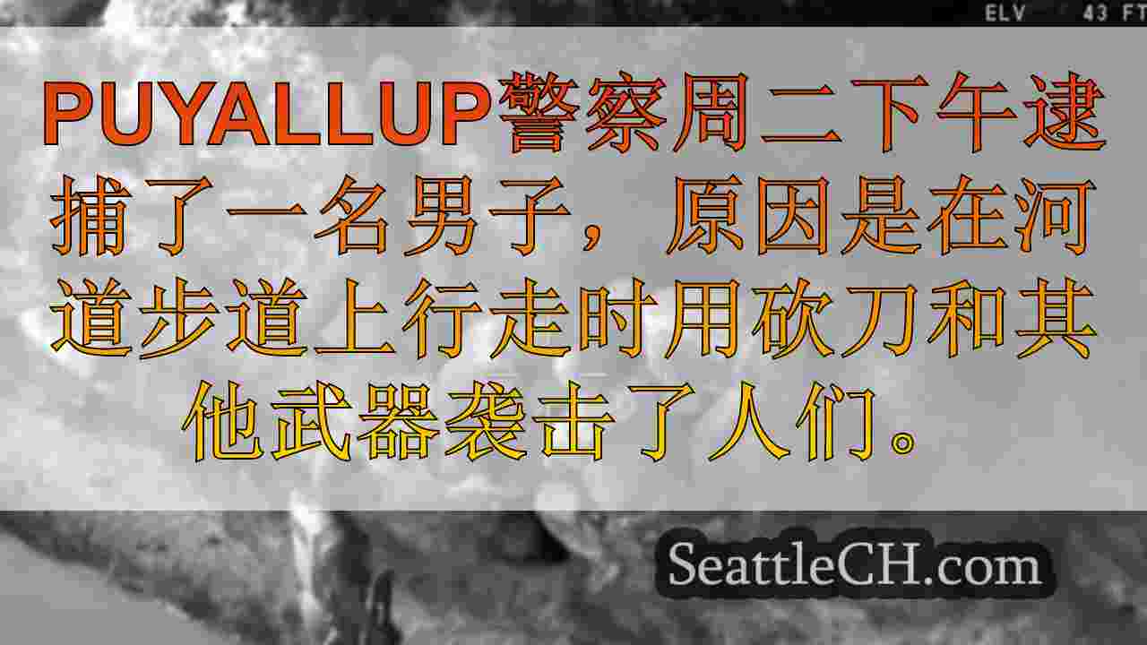 西雅图新闻 SeattleCH
