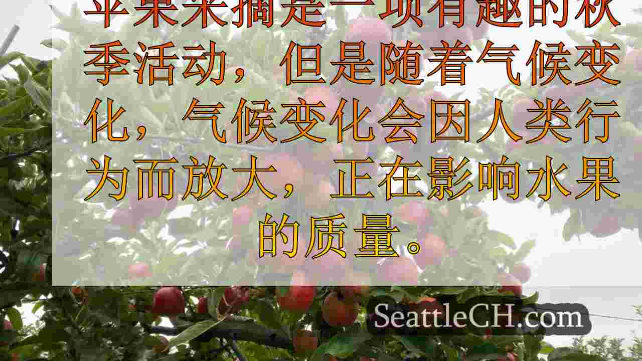 气候变化会影响苹果质量，整个美国的成熟时间