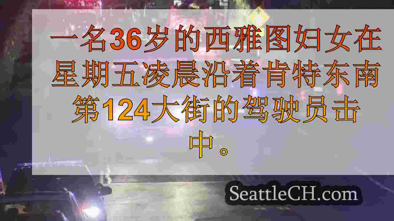 西雅图新闻 SeattleCH