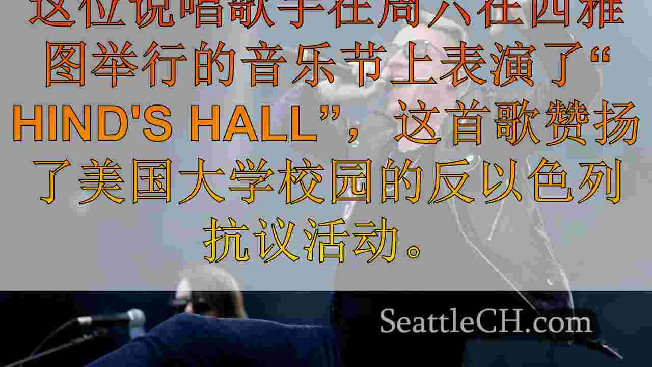 Macklemore在Pro-Palestine音乐会上宣布“ F ***