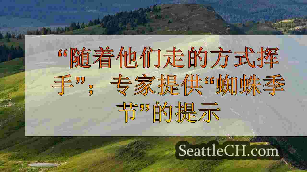 西雅图新闻 SeattleCH