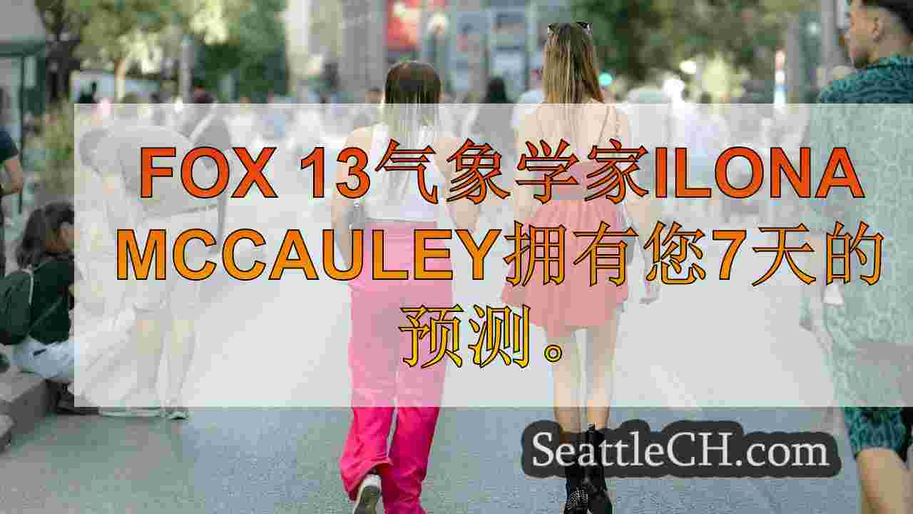 西雅图新闻 SeattleCH