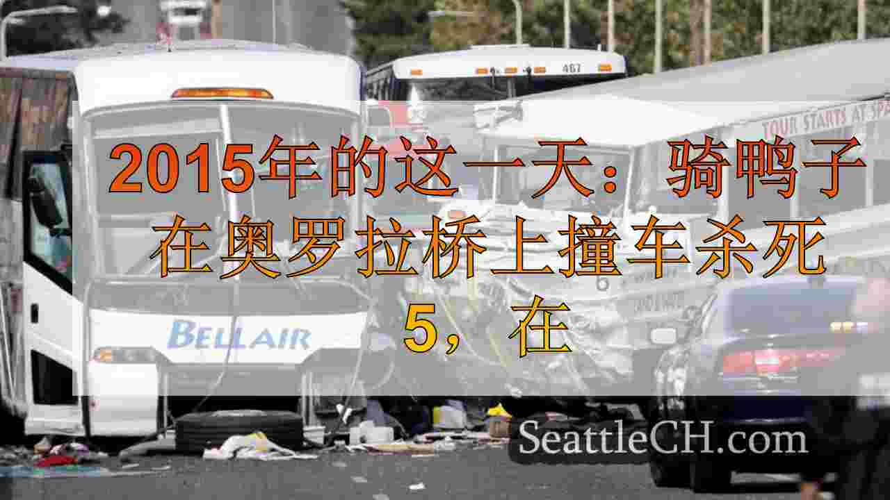 在2015年的这一天：骑鸭子在奥罗拉桥上撞车杀死5人，受伤69