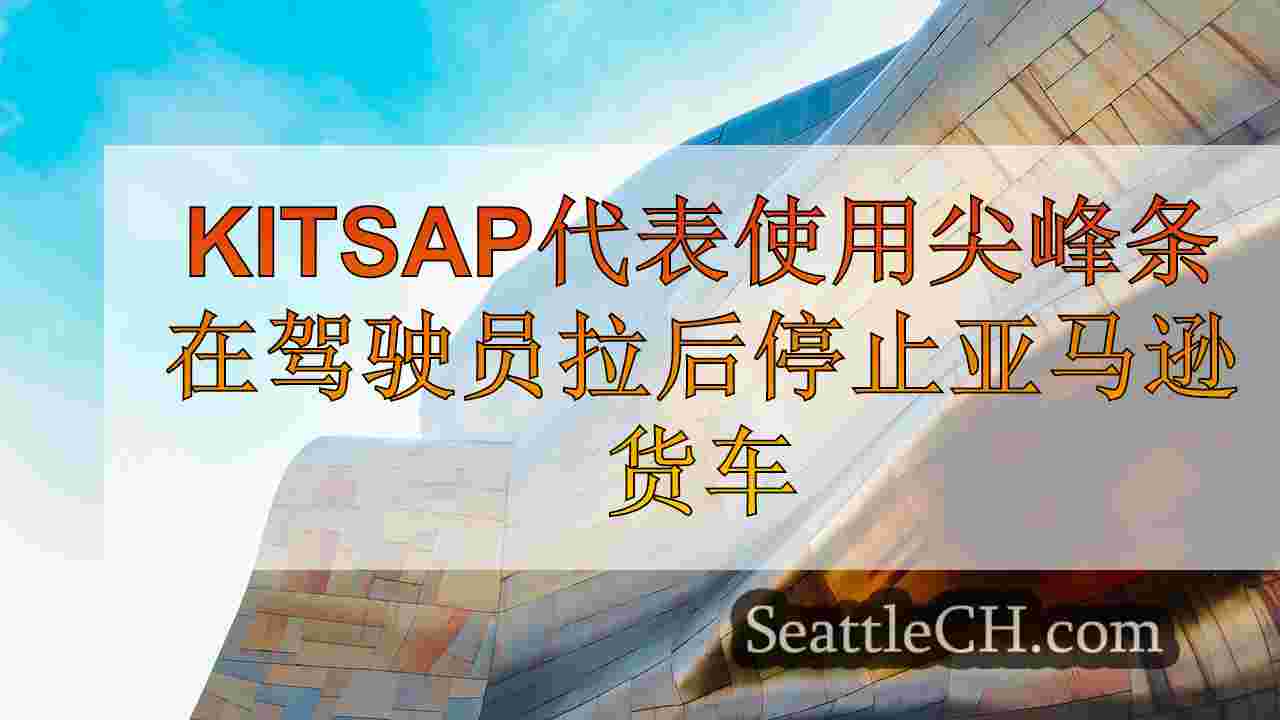 Kitsap代表使用尖峰条在驾驶员拉枪后停止亚马逊面包车