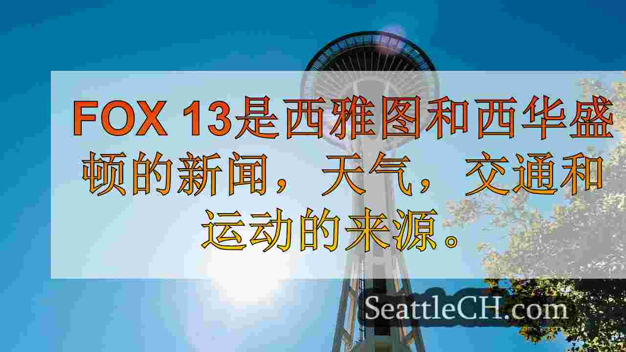 在何塞·黎扎尔公园（Jose Rizal Park）营地清理期间发现的人类遗体