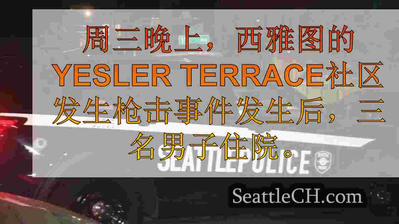 西雅图新闻 SeattleCH