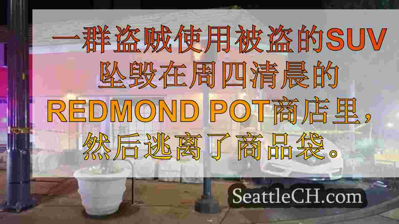 西雅图新闻 SeattleCH