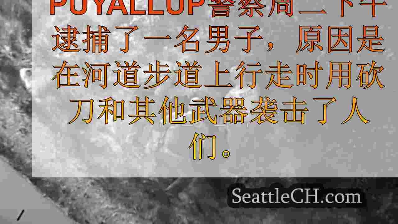 男子因砍刀而被捕，斧头袭击了Puyallup River Walk步道