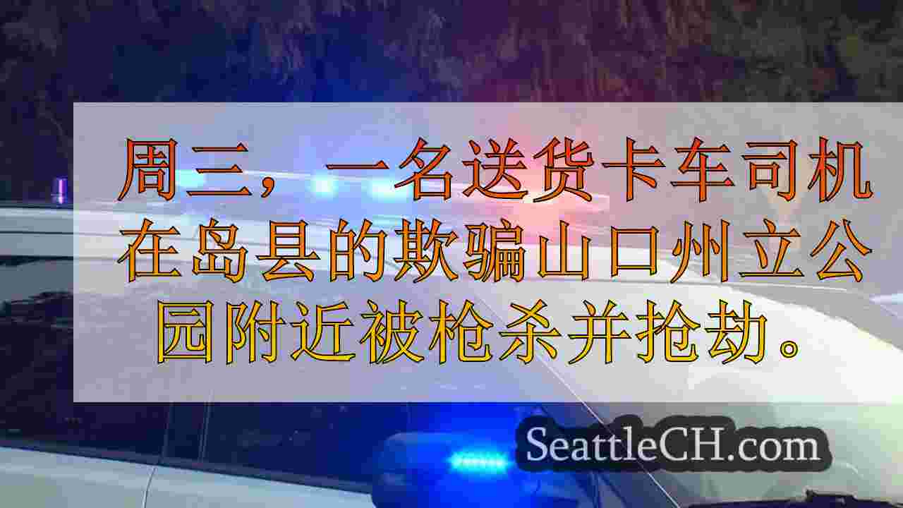 卡车司机在岛县开枪并抢劫