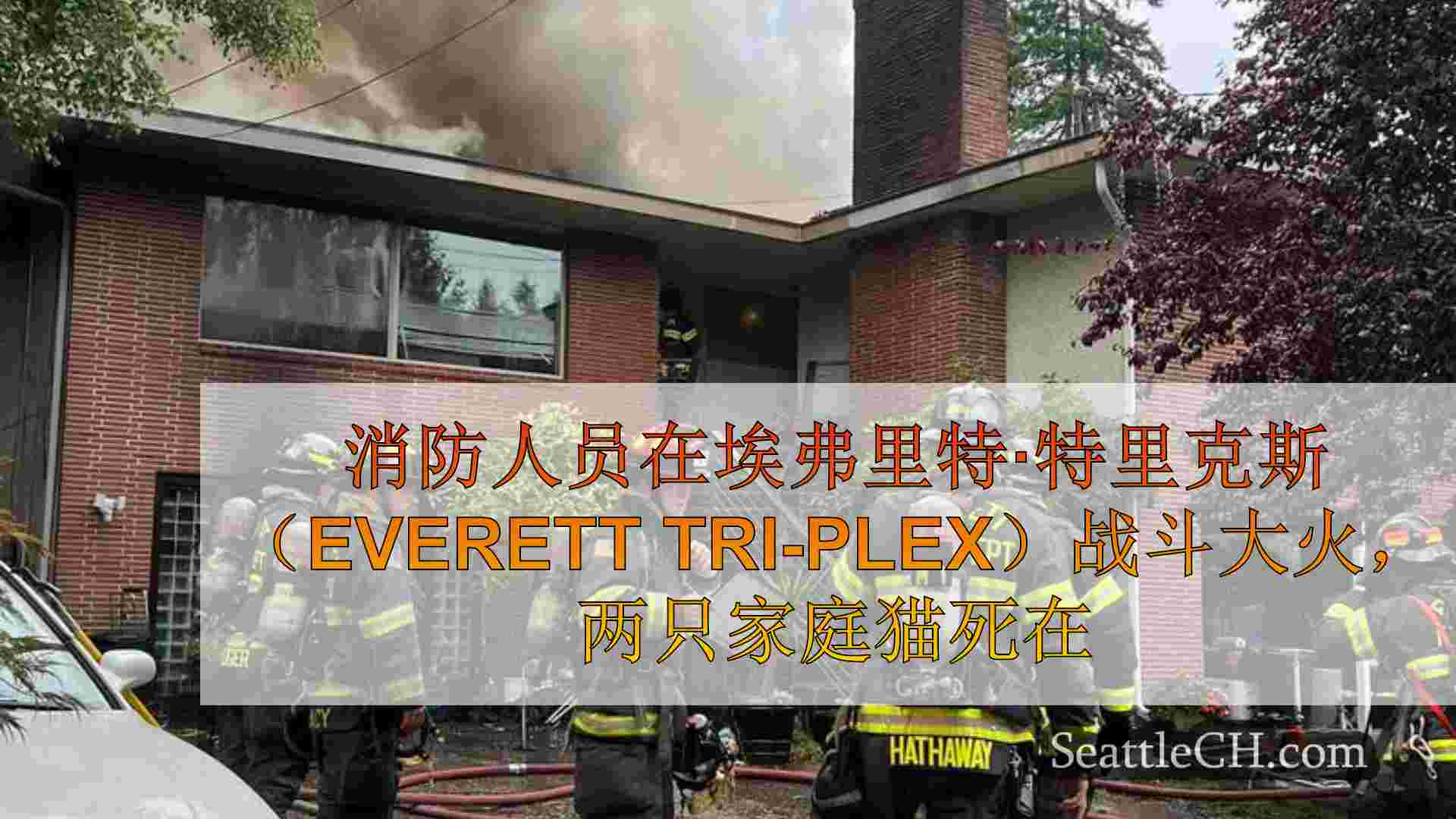 消防人员在埃弗里特·特里克斯（Everett
