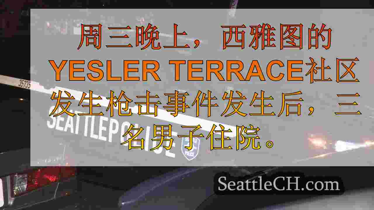 在西雅图的Yesler Terrace社区拍摄后，有3名男子住院