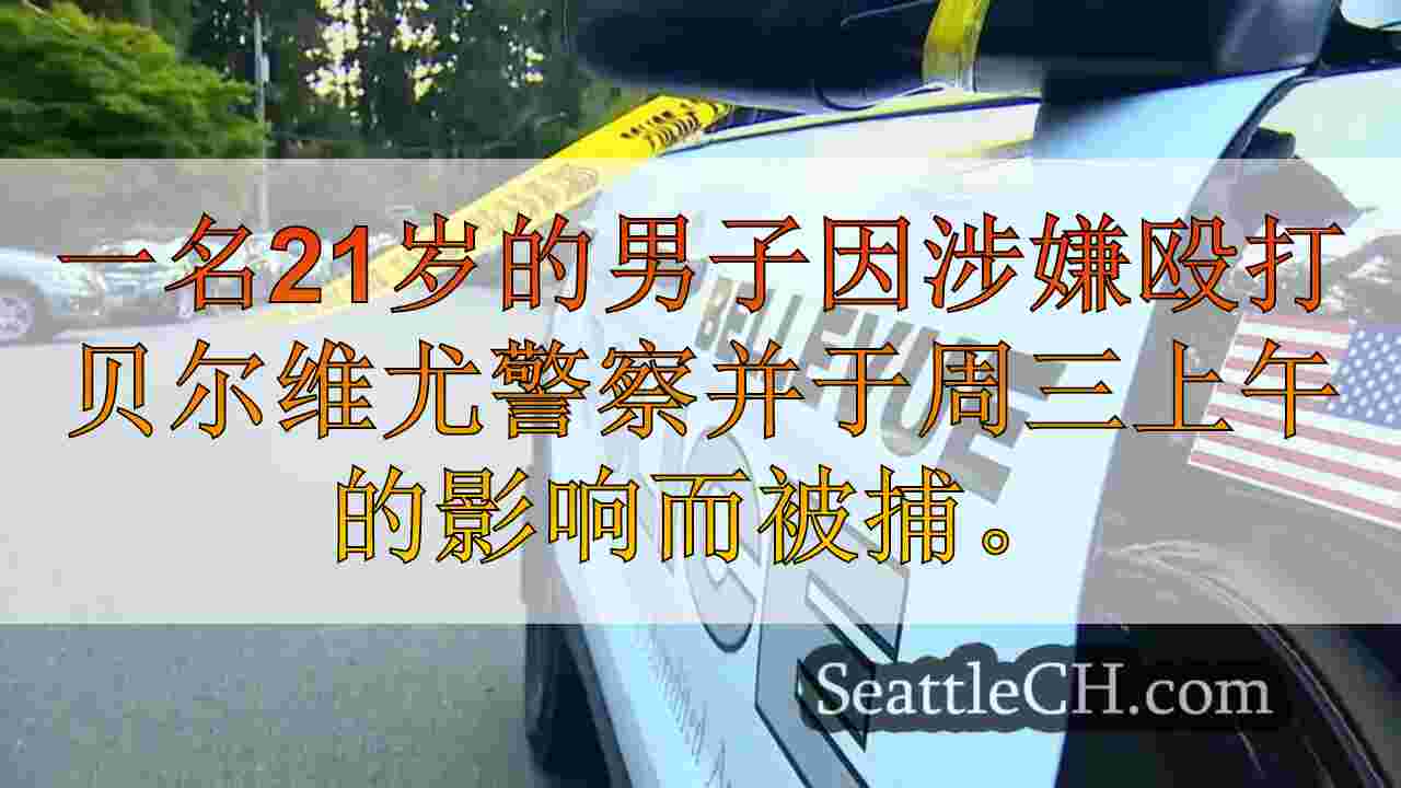 男子因殴打贝尔维尤警察，DUI被捕