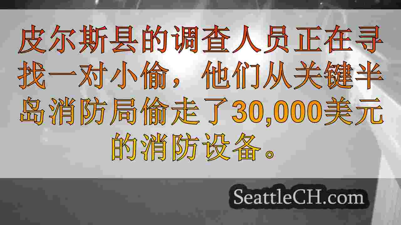 小偷从关键半岛消防局窃取价值3万美元的设备