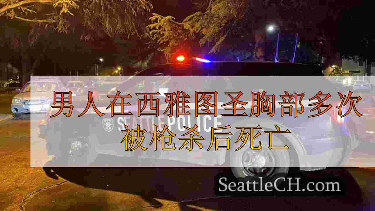 男人在西雅图的沙点附近的胸部多次被枪杀后死亡