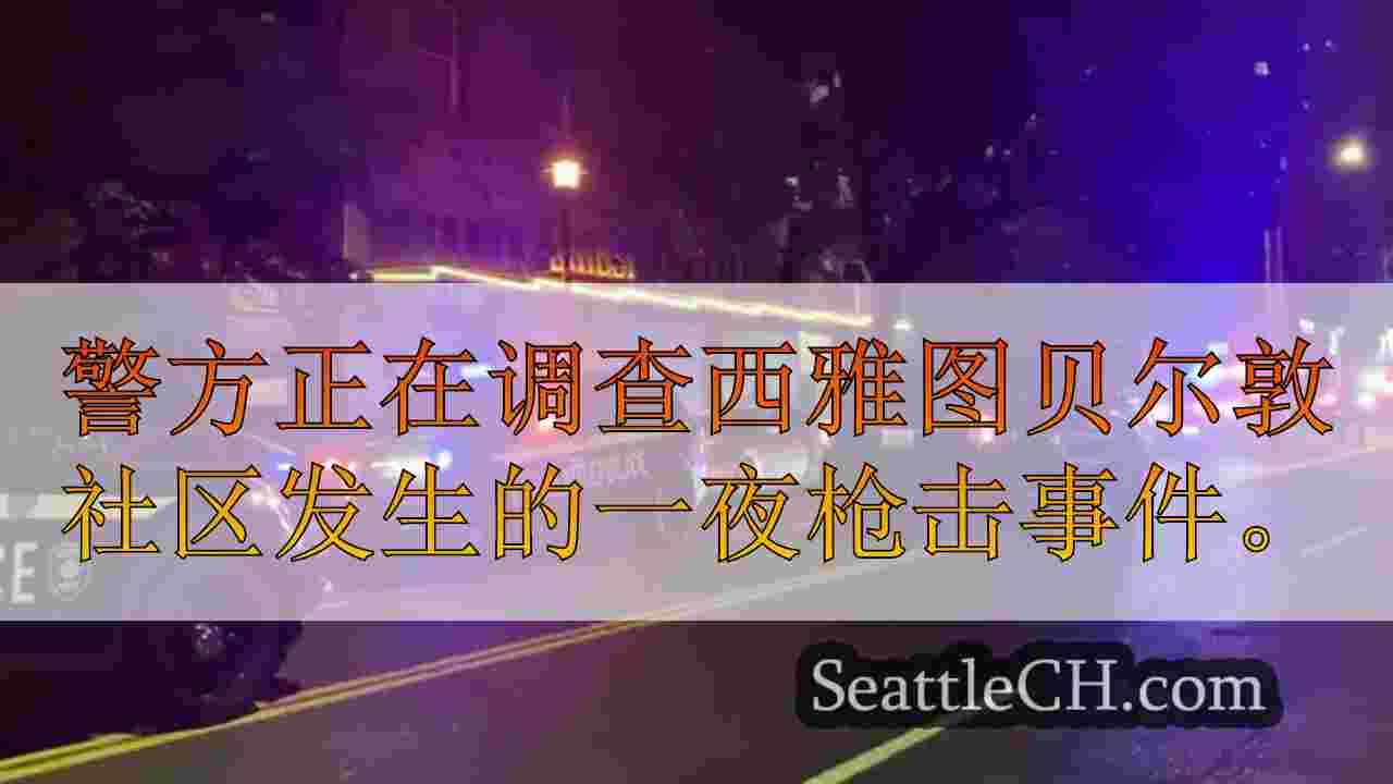 夜总会在西雅图的贝尔敦街区射击2受伤