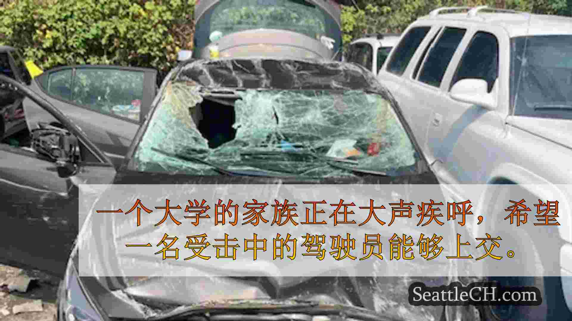 西雅图新闻 SeattleCH