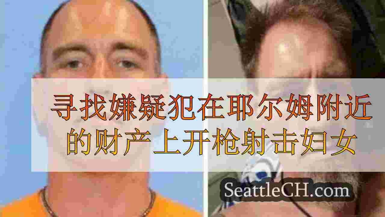 寻找嫌疑犯在耶尔姆附近的财产上开枪射击妇女