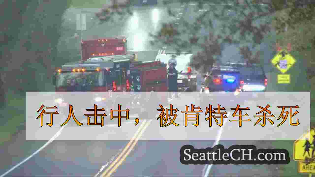 行人击中，被肯特车杀死