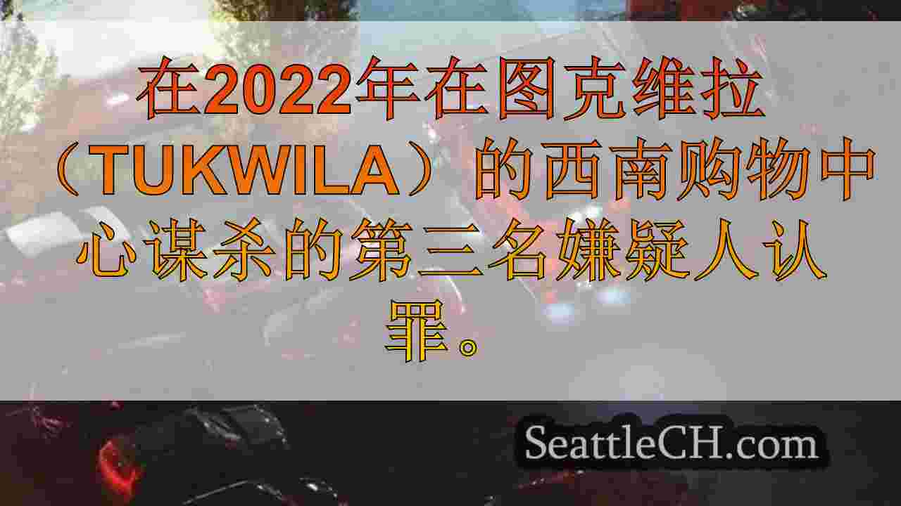 西雅图新闻 SeattleCH