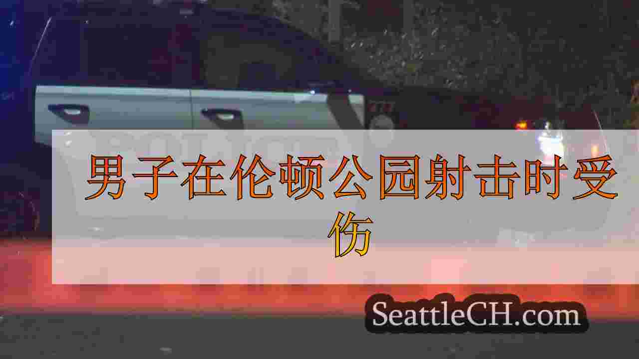 男子在伦顿公园射击时受伤