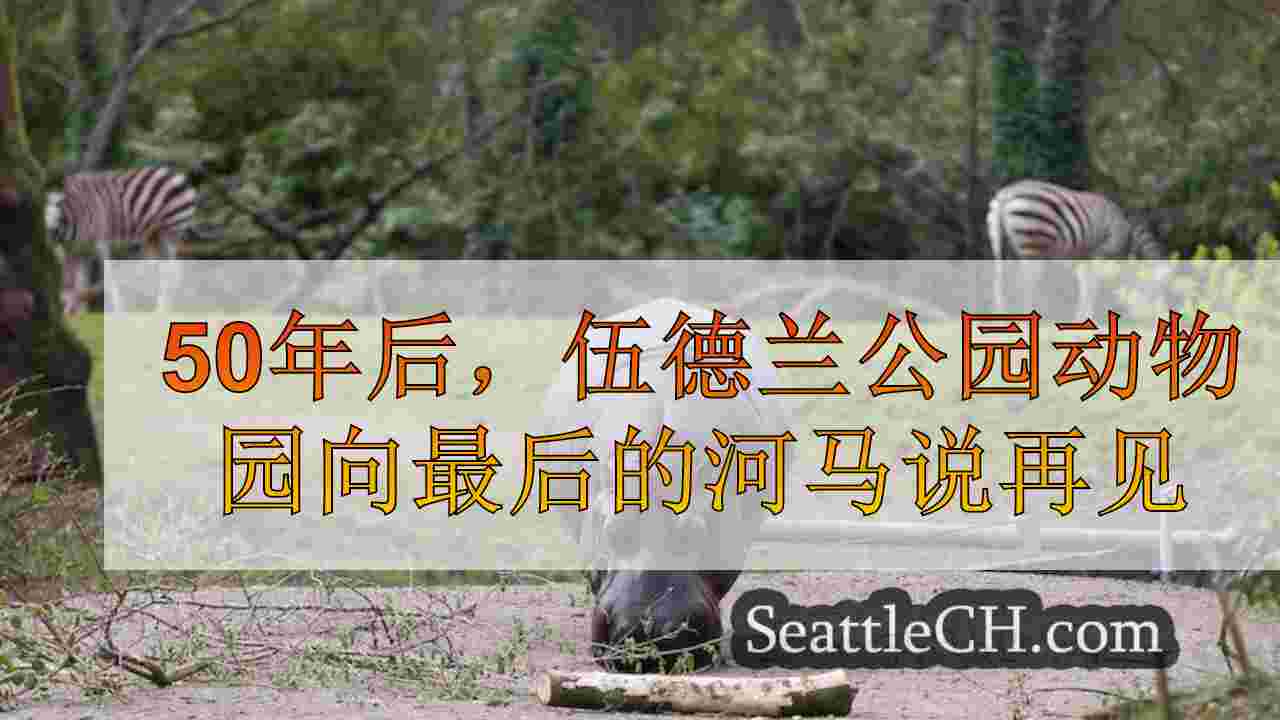 西雅图新闻 SeattleCH