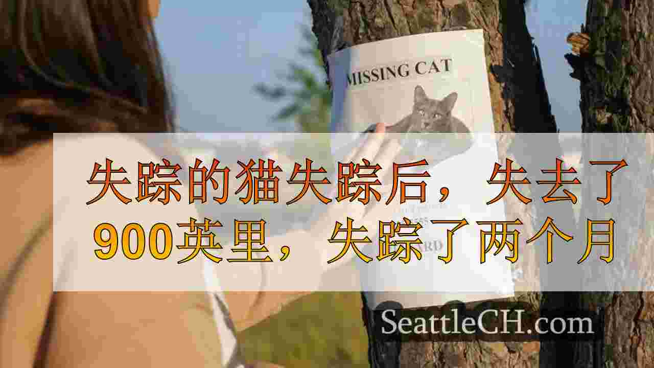 失踪的猫返回900英里的家庭，在黄石迷路了两个月
