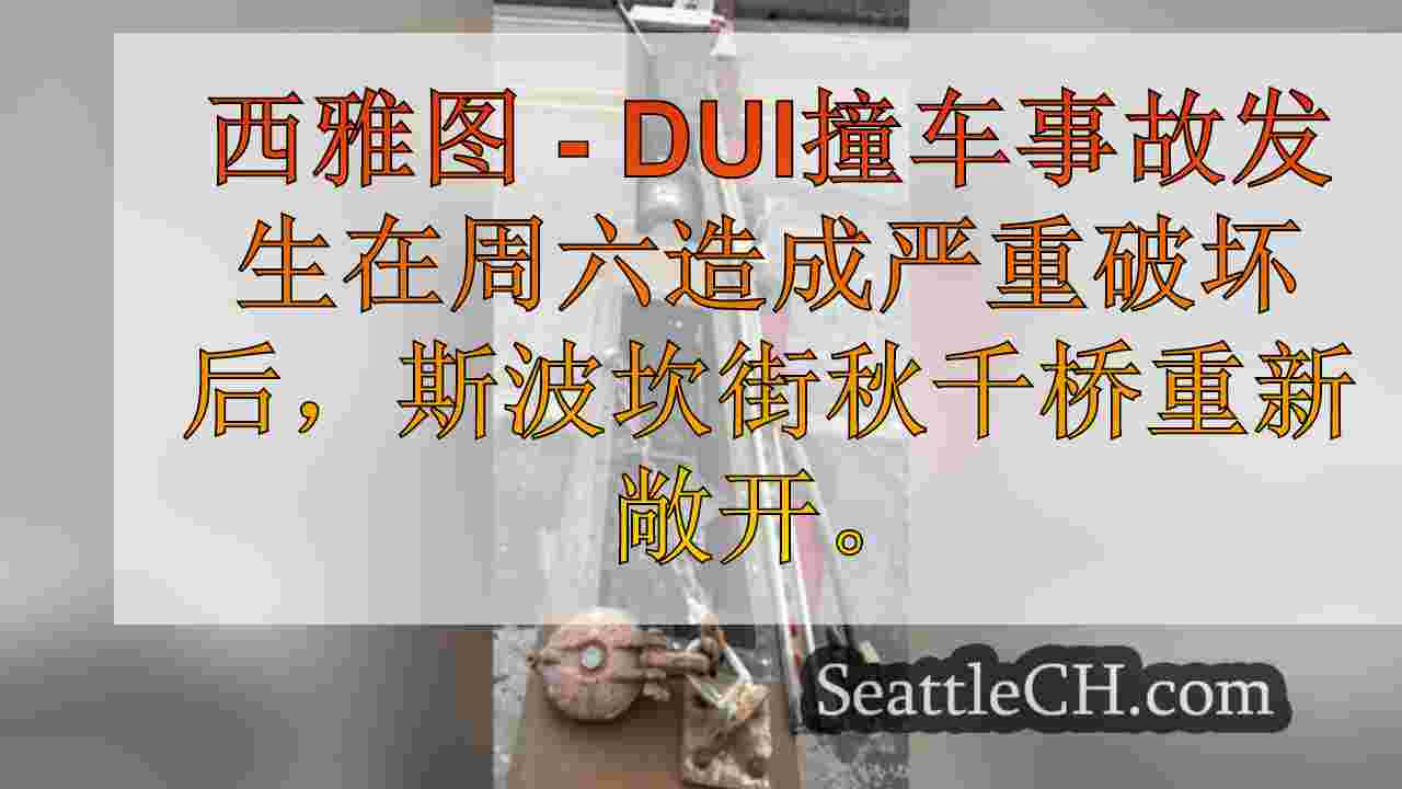 斯波坎街桥梁在破坏DUI Crash后重新开放