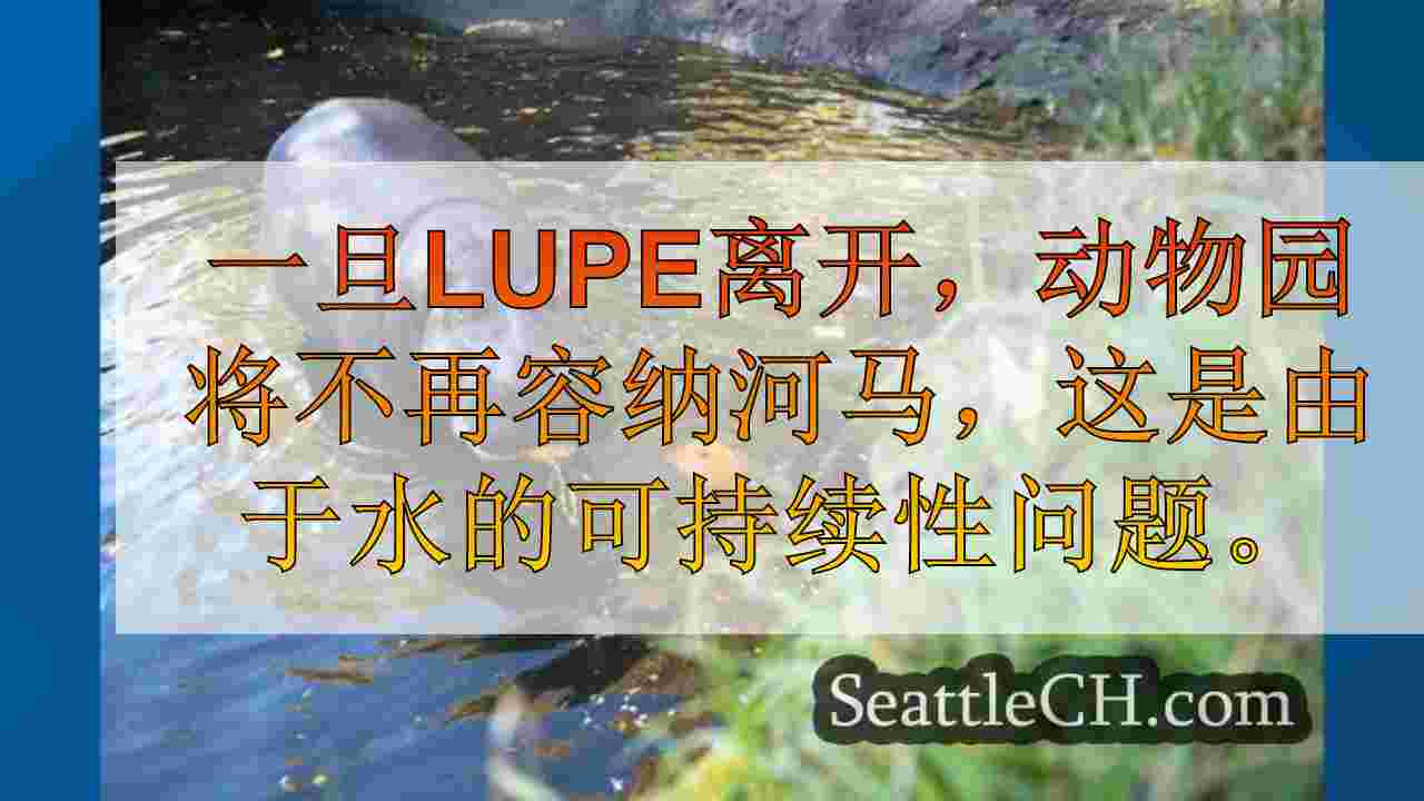 伍德兰公园的唯一河马本月要搬到新家