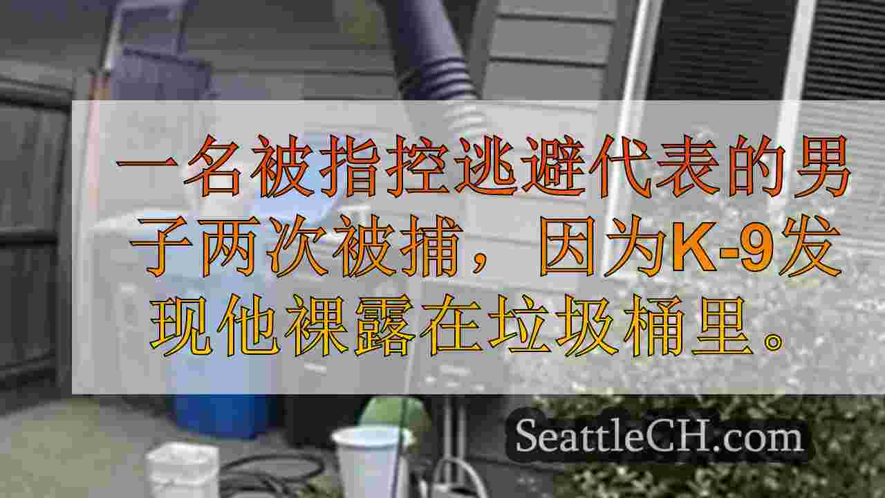 裸体男子在K-9发现他藏在Spanaway垃圾桶后被捕