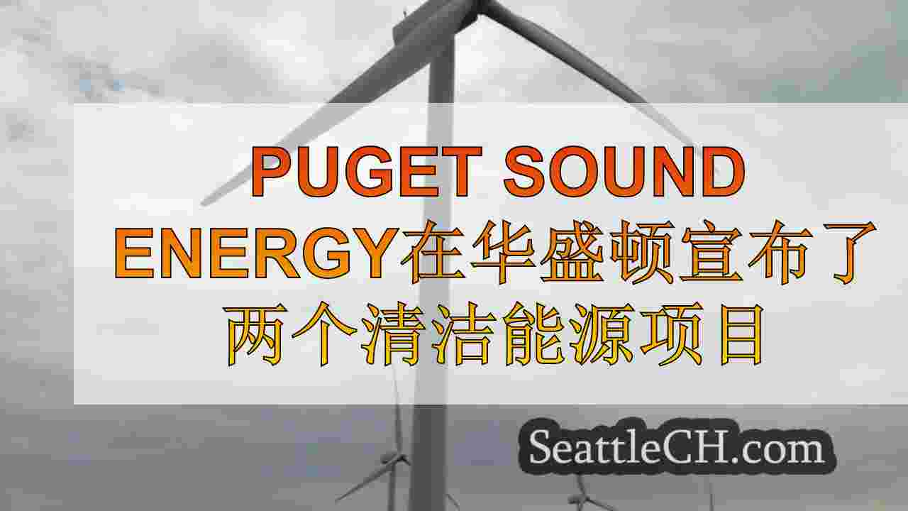 Puget Sound Energy在华盛顿宣布了两个清洁能源项目