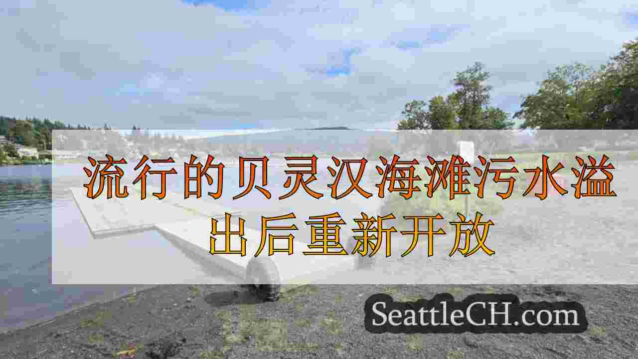 流行的贝灵汉海滩污水溢出后重新开放
