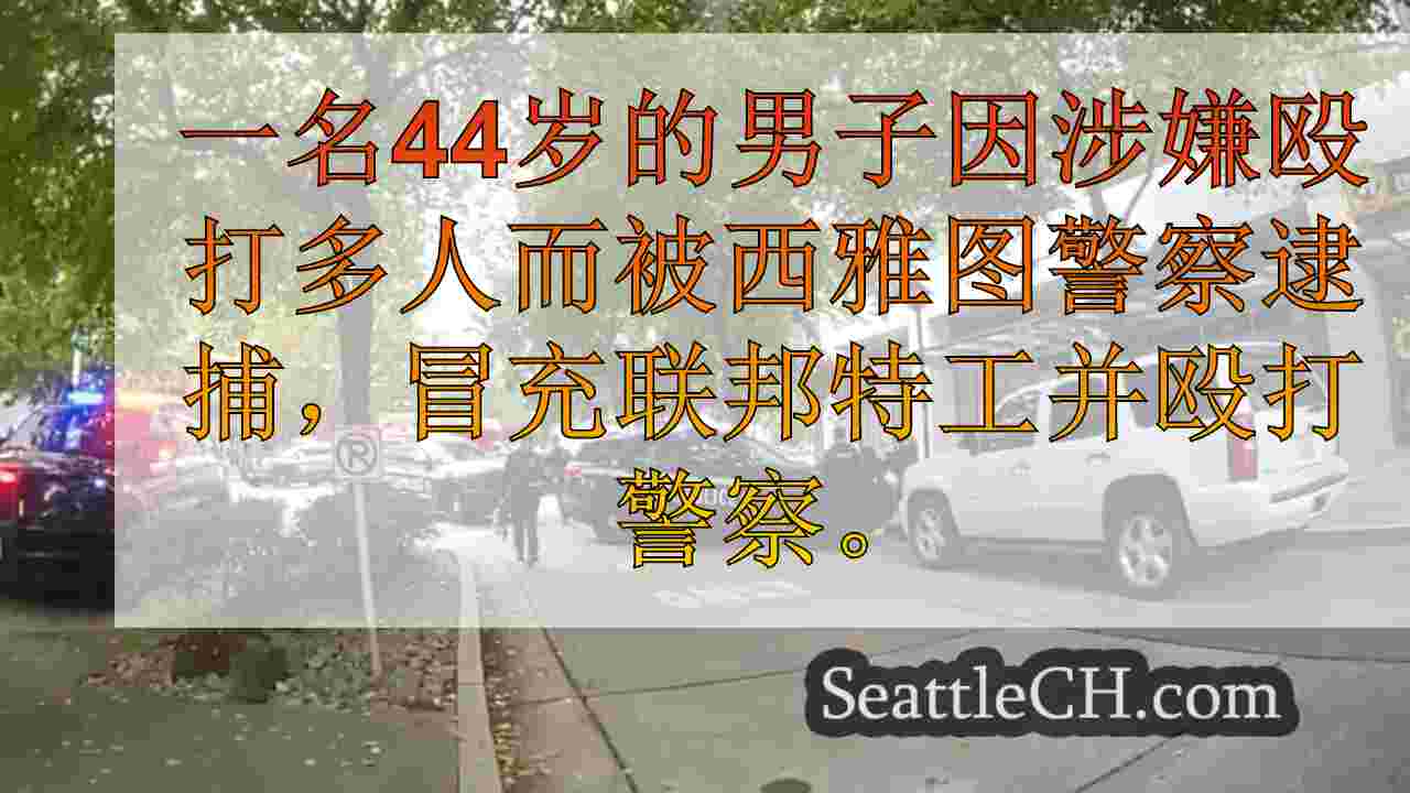 男子因殴打多人和军官而被捕，冒充联邦代理人