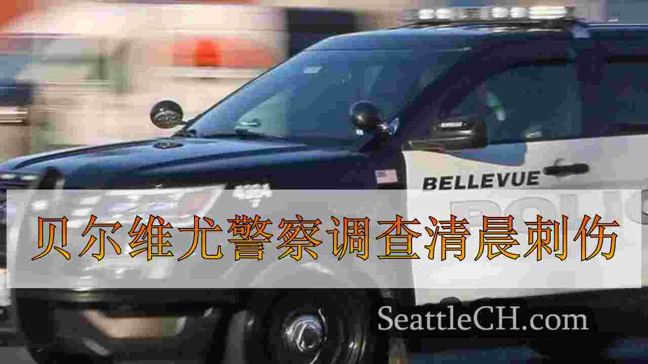 贝尔维尤警察调查清晨刺伤