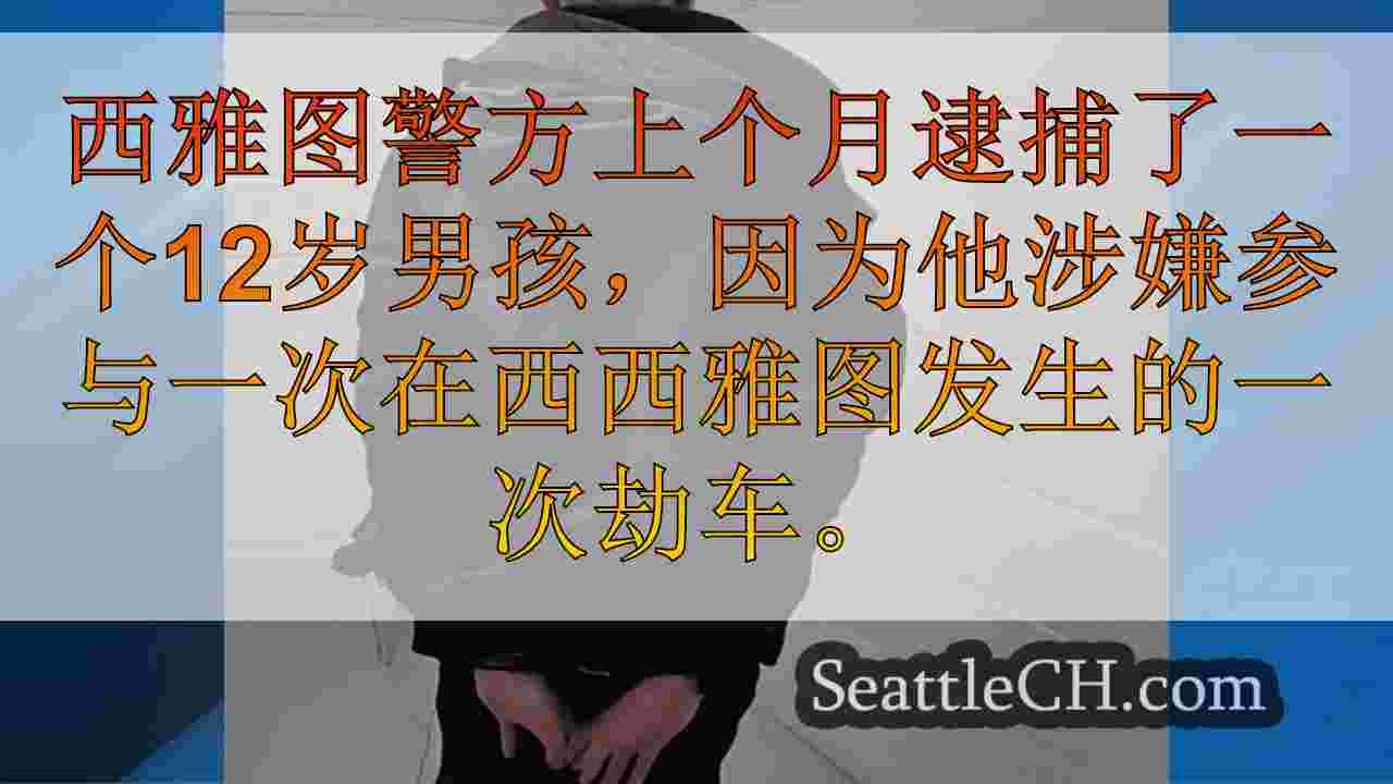 12岁的西雅图劫车尝试中被捕的12岁