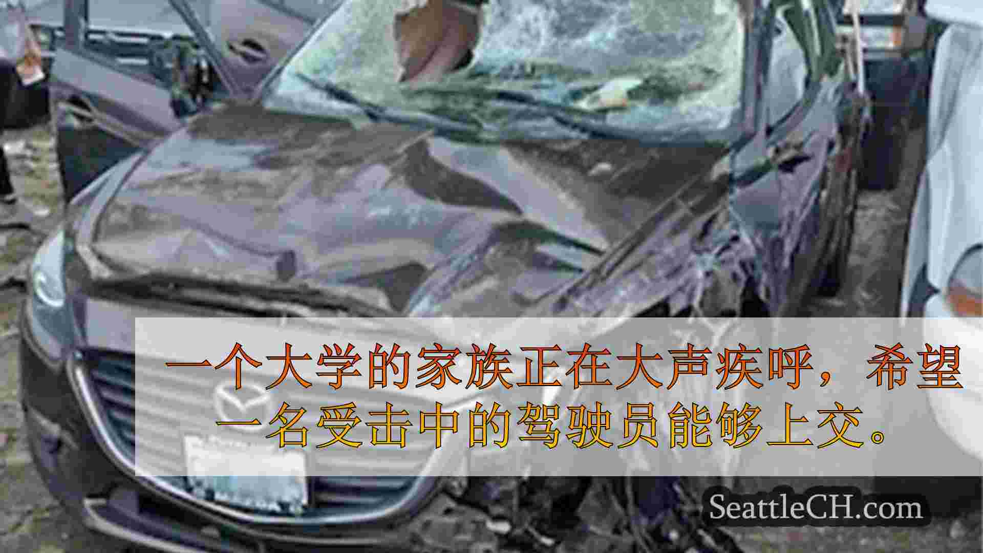西雅图新闻 SeattleCH