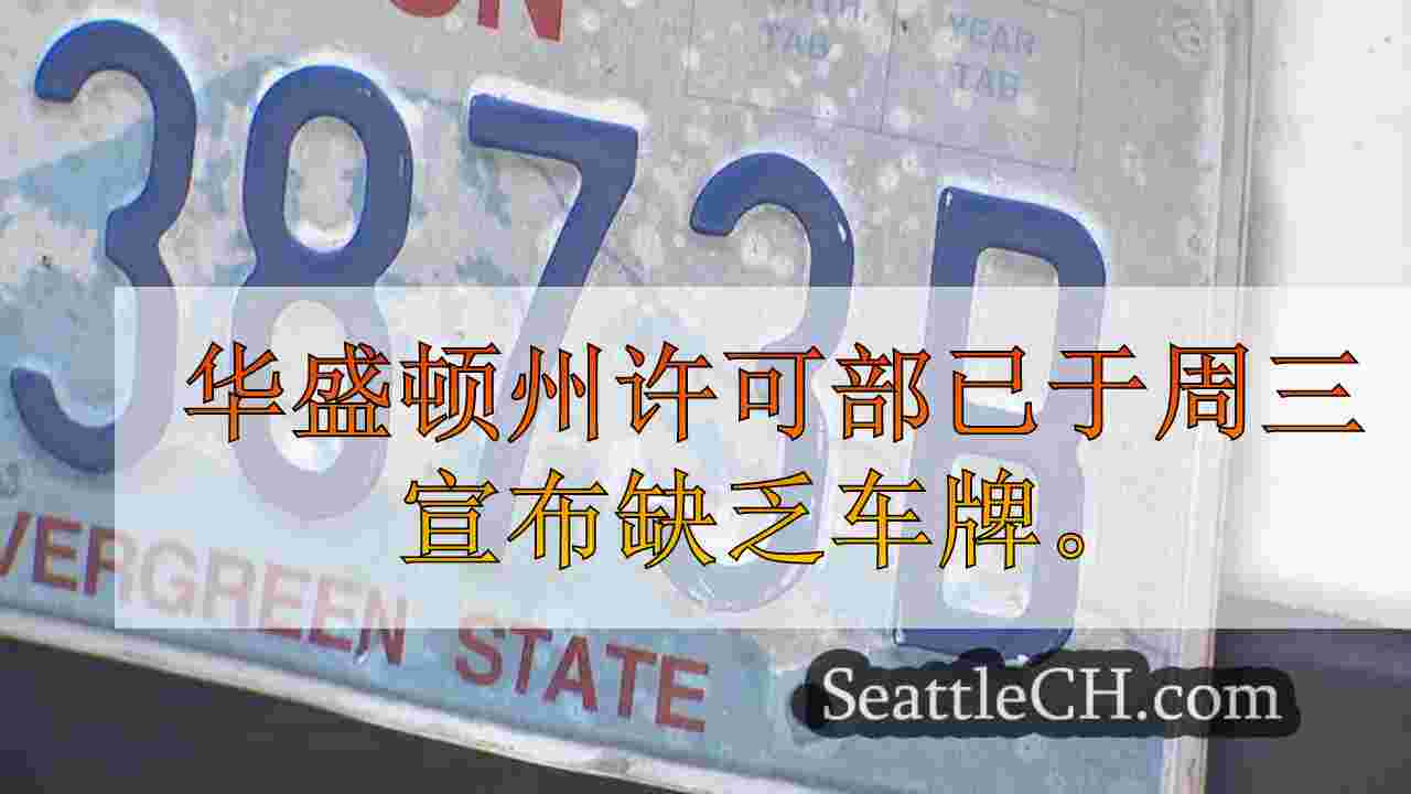 华盛顿州面对车牌短缺，延误可能持续3个月