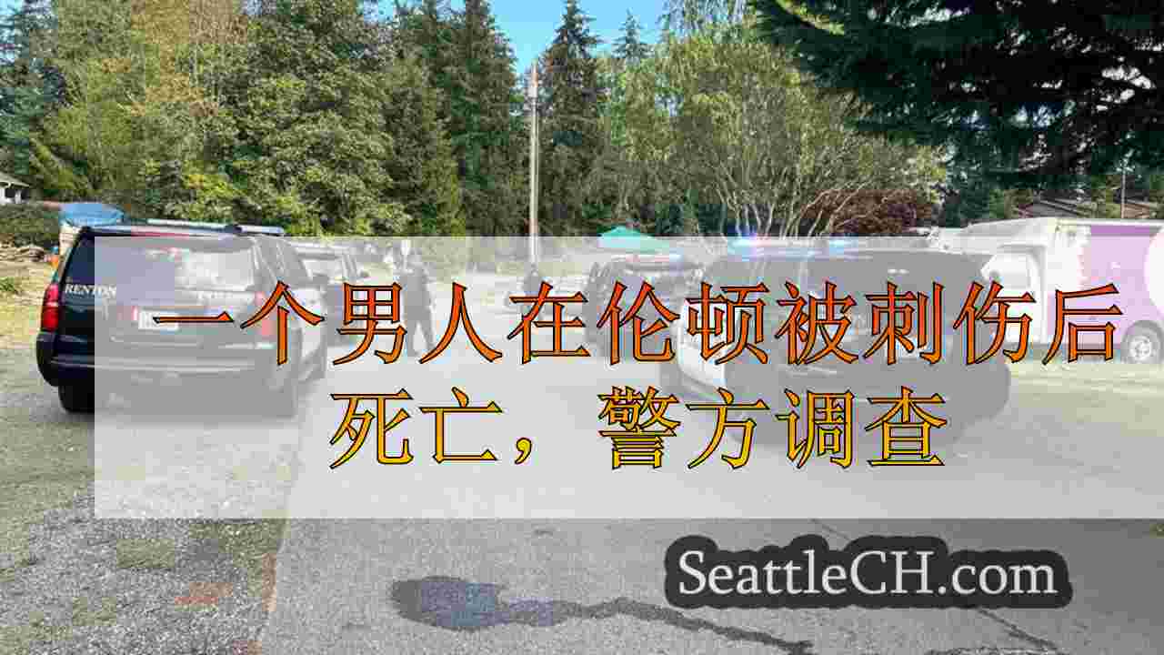 一个男人在伦顿被刺伤后死亡，警方调查