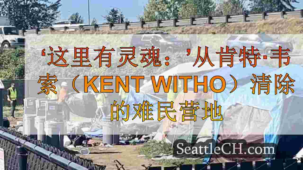 ‘这里有灵魂：”从肯特清除的难民营地没有解决方案