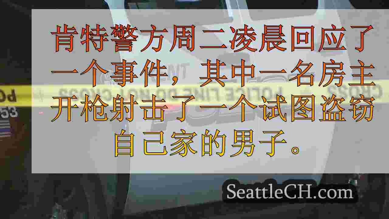 “我要保护我的家人”：肯特房主在闯入期间射击了窃贼