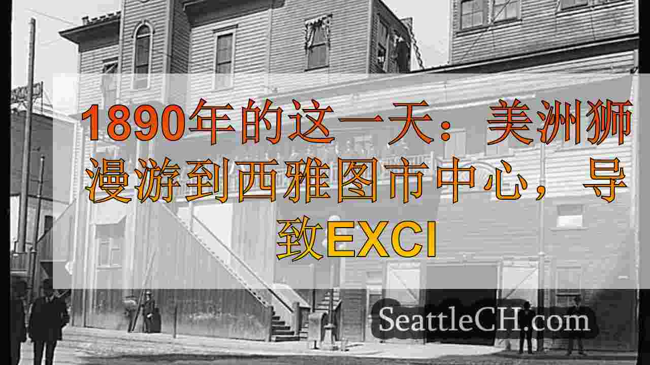 1890年的这一天：美洲狮漫游到西雅图市中心，引起兴奋