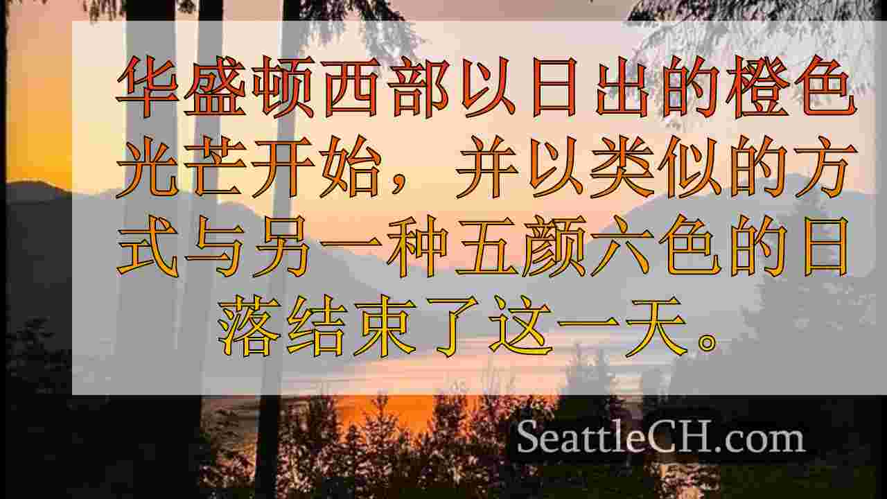 西雅图新闻 SeattleCH