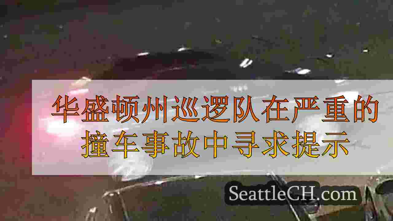 华盛顿州巡逻队在99号州际公路上寻求大击中的提示